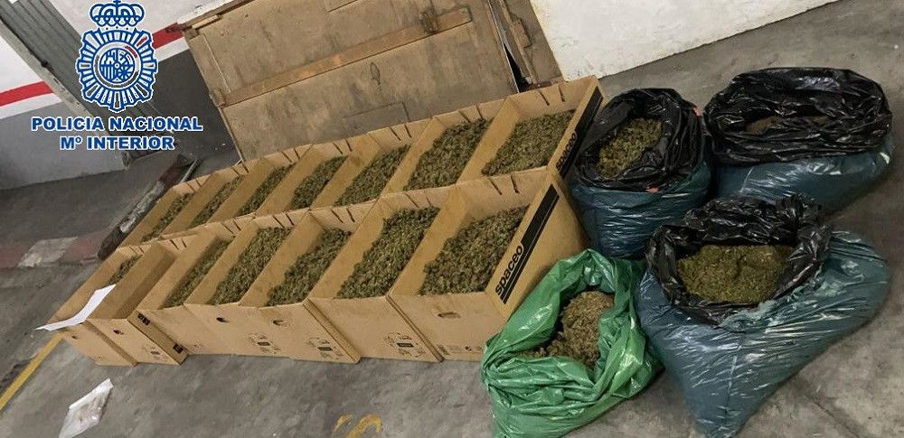 Desmantelada una organización que habilitaba villas de lujo en Marbella, Sevilla y Córdoba para cultivos hidropónicos con la intervención de 514 kilogramos de marihuana y 170.000 euros