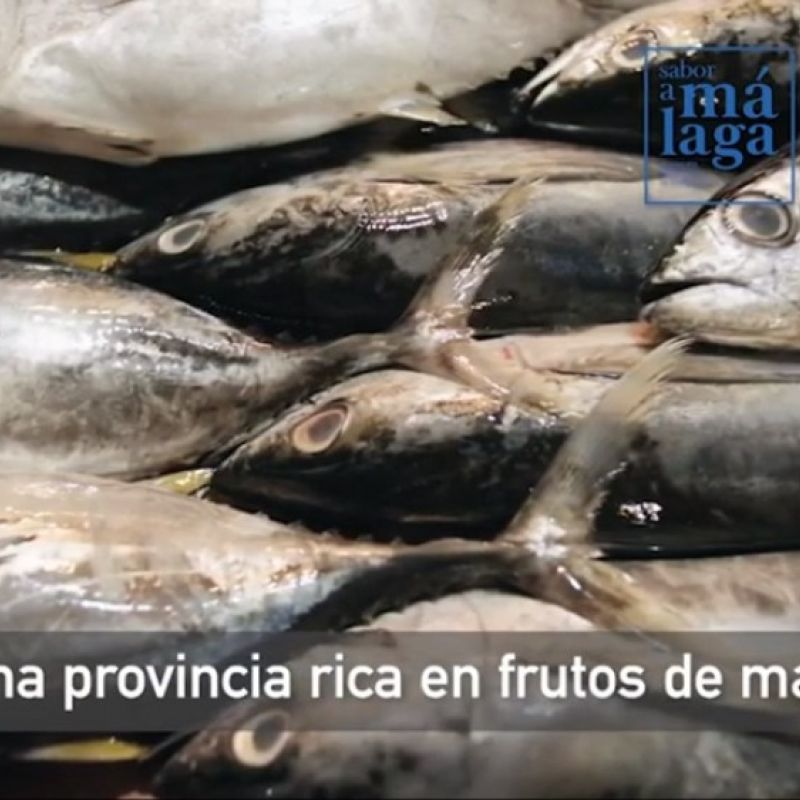 Sabor a Málaga’ promueve en un vídeo el consumo de productos de cercanía y el uso de los servicios a domicilio de las empresas malagueñas
