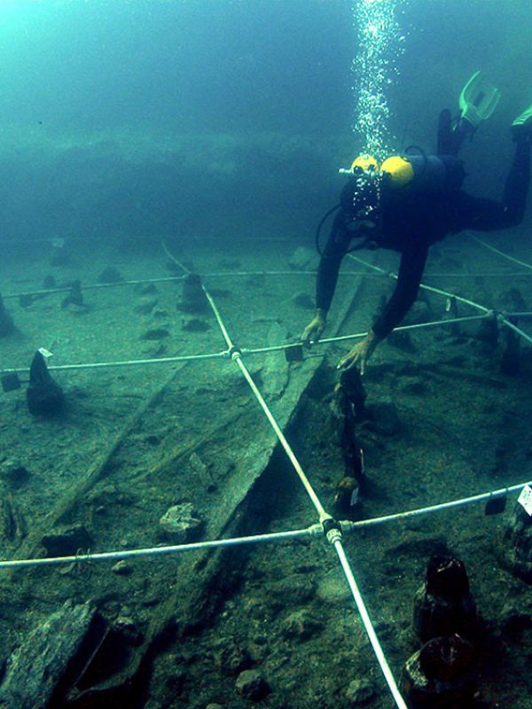 Hallan plantas con efecto estupefaciente en un asentamiento de hace 7.500 años en Italia