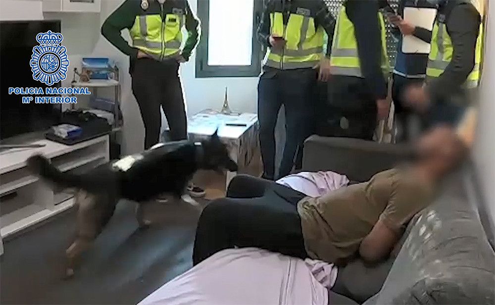 La Policía Nacional desarticula una organización criminal dedicada a las estafas bancarias mediante "SIM swapping"
