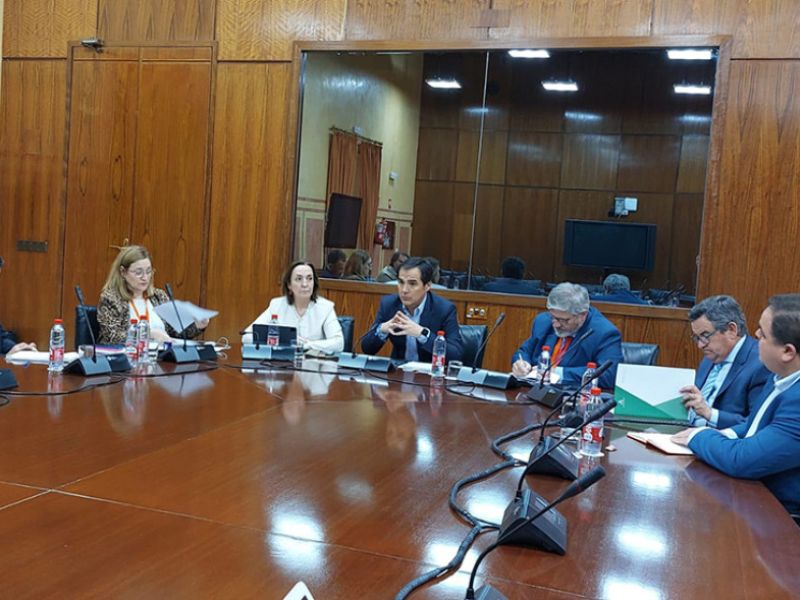 La Junta busca un acuerdo con los grupos políticos para presentar una postura común sobre los interinos que no han superado el proceso de estabilización
