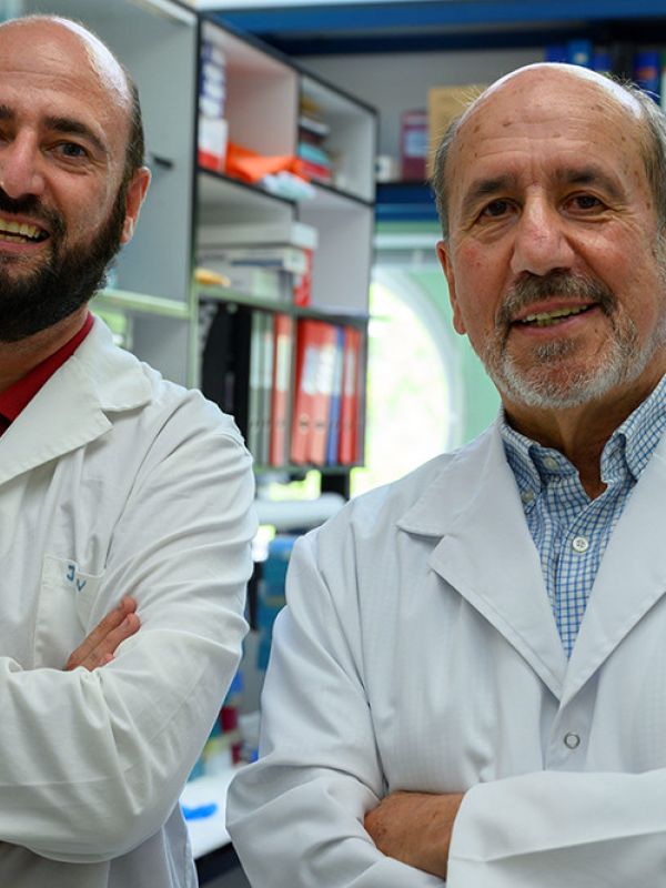 El CSIC transfiere a la OMS sus avances en el desarrollo de la vacuna covid-19 para que llegue a países en desarrollo