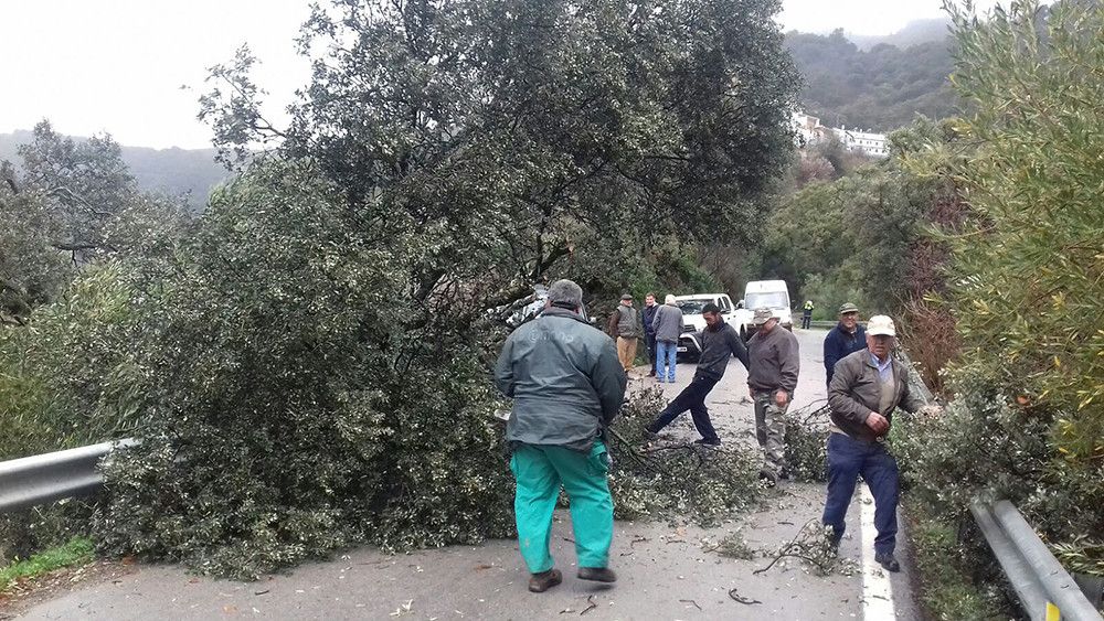 Ampliado el aviso naranja por fuerte viento a comarcas de Sevilla, Córdoba, Jaén y Málaga