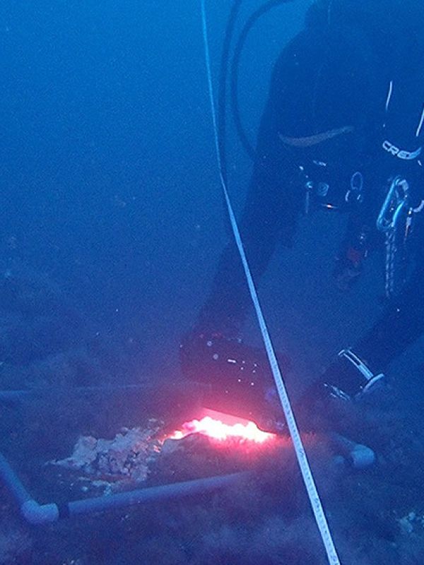 Una campaña de buceo en la colada del volcán de La Palma culmina un año de evaluación de la salud de los hábitats marinos