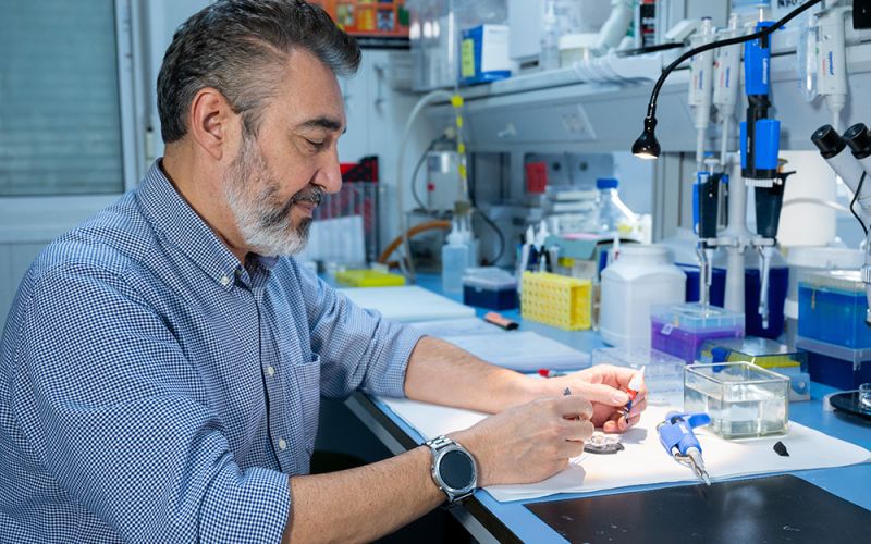 El ejercicio físico mejora la inteligencia de tus descendientes