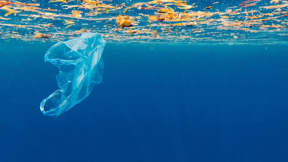 España cree necesario un acuerdo internacional para hacer frente a la contaminación marina por plásticos
