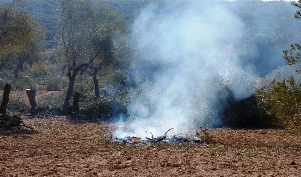 Prolongada la prohibición de las quemas agrícolas para prevenir incendios forestales hasta el 8 de mayo