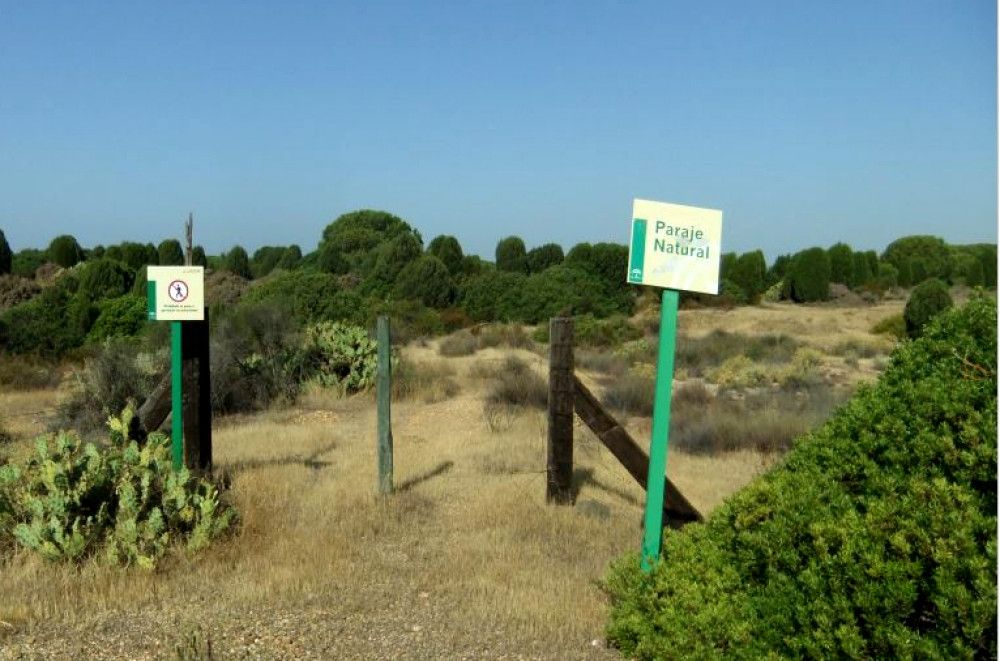 La Junta pone en marcha tres nuevas actuaciones en espacios naturales de la provincia de Huelva