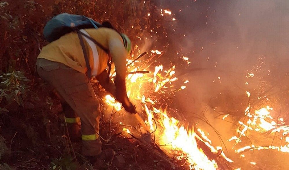 El Consejo de Gobierno analiza el informe del Plan Infoca sobre el incendio de Almonaster la Real