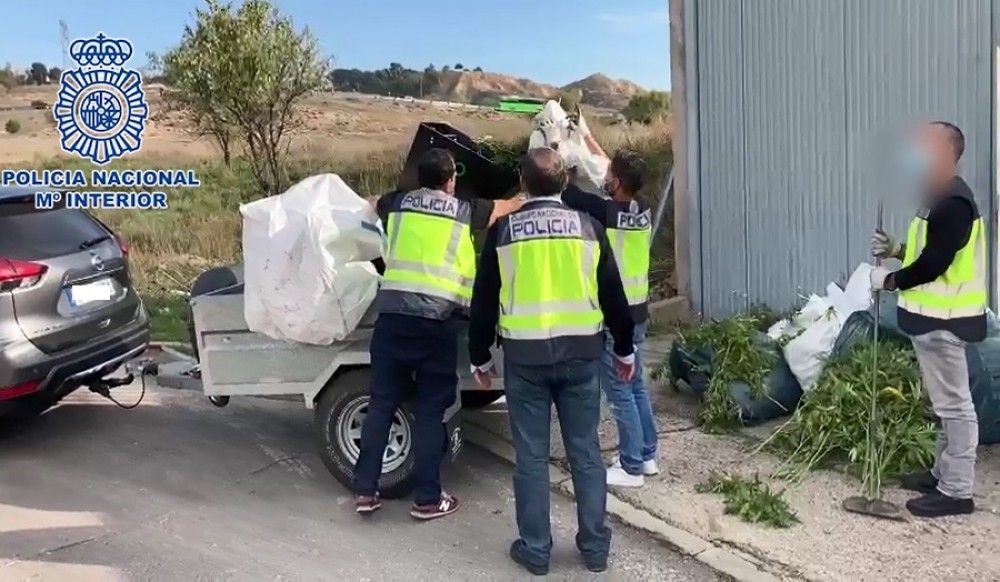 La Policía Nacional desmantela en Madrid dos plantaciones "indoor" de marihuana