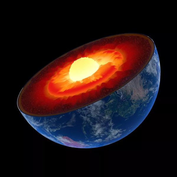 Científicos revelan por qué cada 36 millones de años se produce una explosión de vida en la Tierra