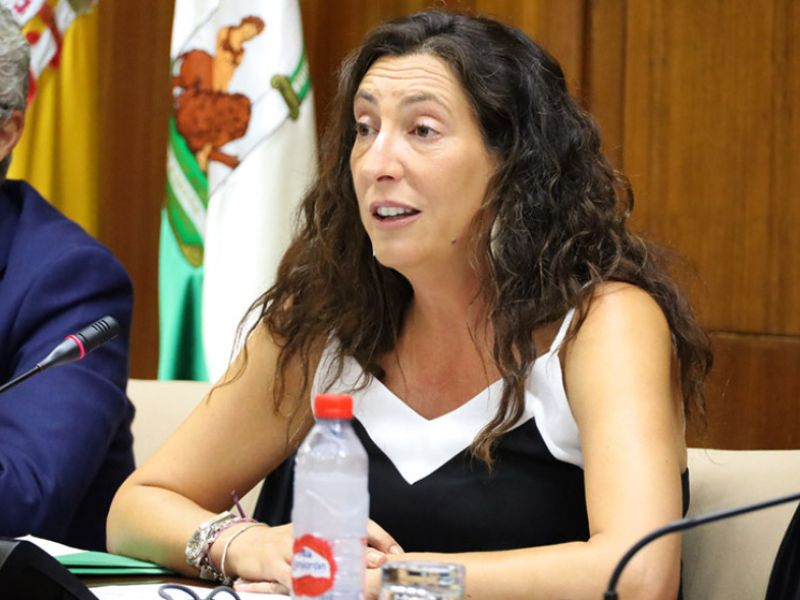 El Ejecutivo andaluz logra una ejecución histórica del 98,4% de la Renta Mínima de Inserción en 2022