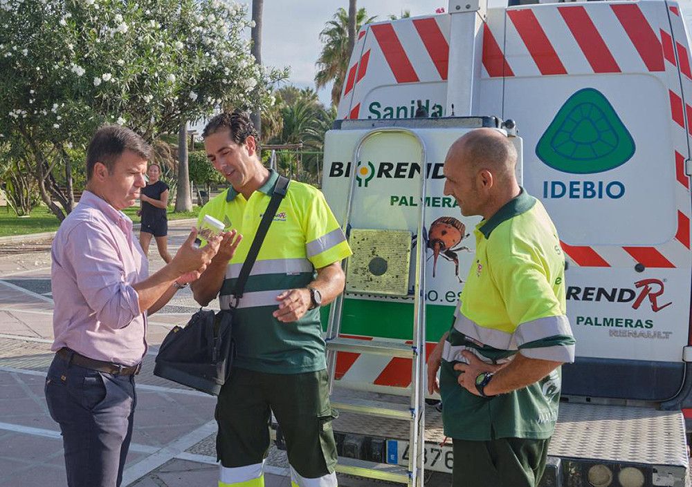 El Ayuntamiento refuerza el control biológico de plagas con la suelta de insectos beneficiosos que las combaten