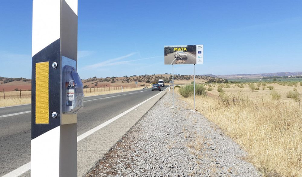 Instalada una barrera virtual en cuatro kilómetros de la A-312 en Vilches que evitará atropellos a linces