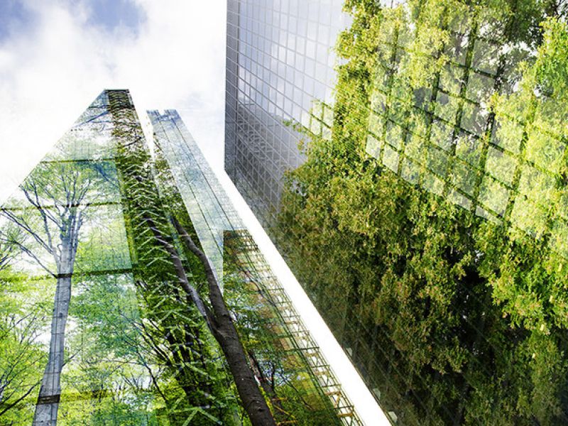 Transición Ecológica aprueba 19 nuevos proyectos para impulsar la renaturalización de ciudades