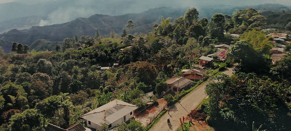 Detener las masacres en Colombia es fundamental para cumplir la promesa del Acuerdo de Paz