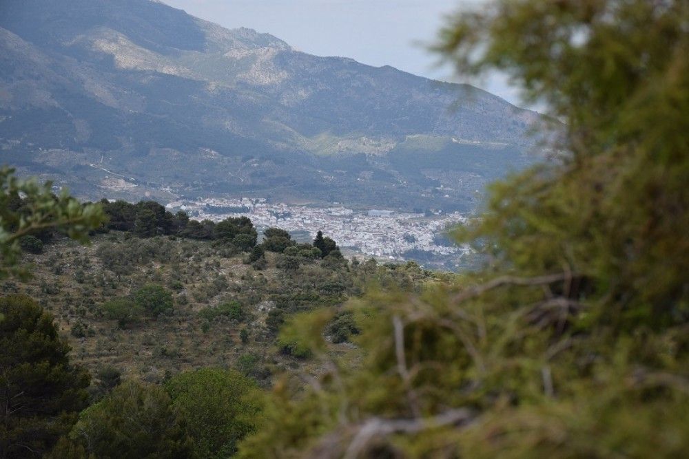 Constituido un protocolo de actuación ante aglomeraciones en la Sierra de las Nieves