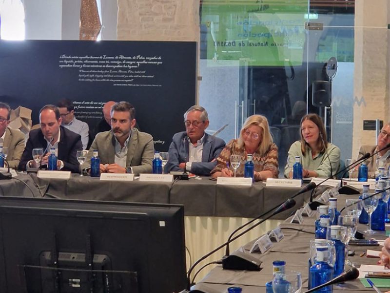 El consejero de Sostenibilidad afirma que no ha visto "ningún interés por parte del Estado" en resolver el problema del regadío en Doñana