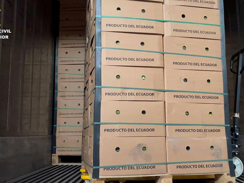 Detenidos por intentar introducir más de 6,5 toneladas de cocaína en contenedores de bananas por el puerto de Algeciras desde Sudamérica