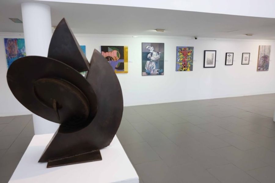 La Diputación acoge la edición número 54 de la exposición de artes plásticas ‘Presencias’ de APLAMA