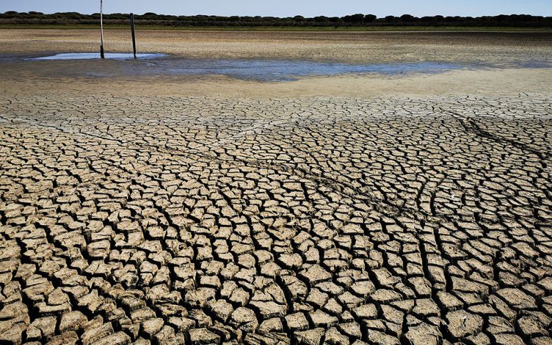 Un estudio confirma que el verano de 2022 fue el más caluroso en España de los últimos 700 años