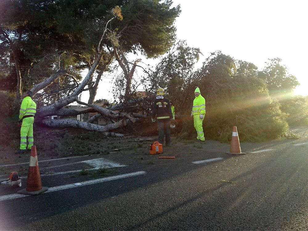Emergencias 112 gestionó ayer más de un centenar de incidencias por el viento en toda Andalucía