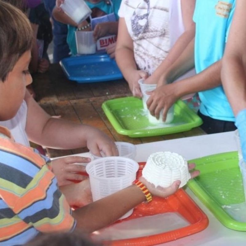 Sabor a Málaga y Cabrama organizan dos talleres de elaboración artesanal de quesos de cabra para niños
