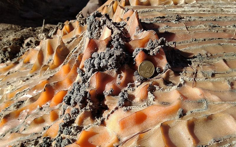 Una nueva base de datos de rocas evaporíticas ofrece soluciones para la transición energética