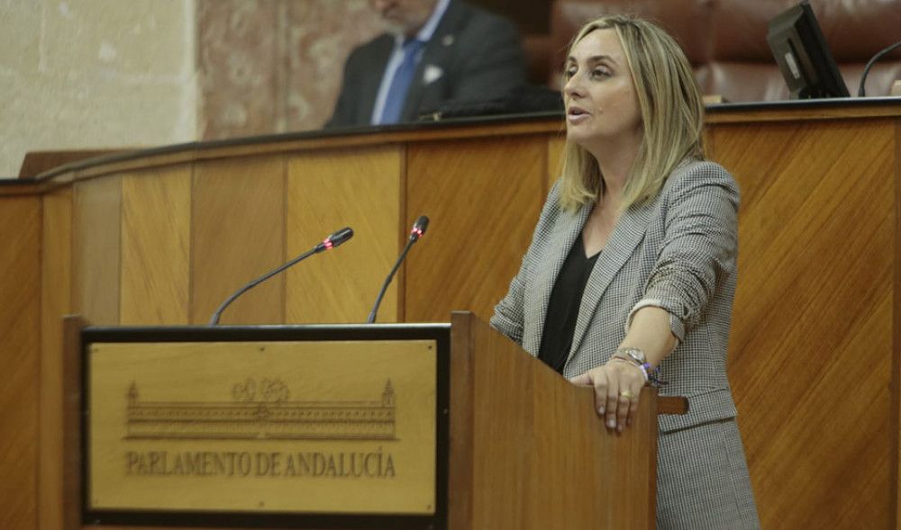El Parlamento de Andalucía convalida el decreto ley para la regulación de los VTC