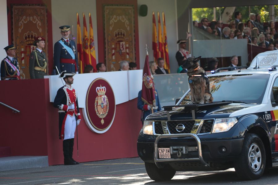 Los reyes, acompañados de la princesa de Asturias, presiden los actos por el Día de la Fiesta Nacional