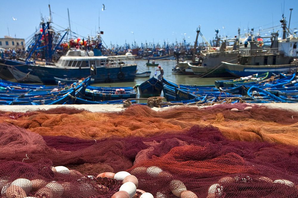 El Ministerio de Pesca convoca ayudas al sector pesquero por 49,5 millones de euros para afrontar el incremento de los costes de producción