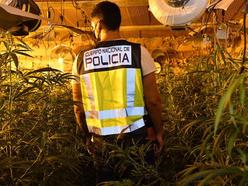 Desarticulada una organización criminal dedicada al tráfico de drogas y blanqueo de capitales con el método de la “Hawala”