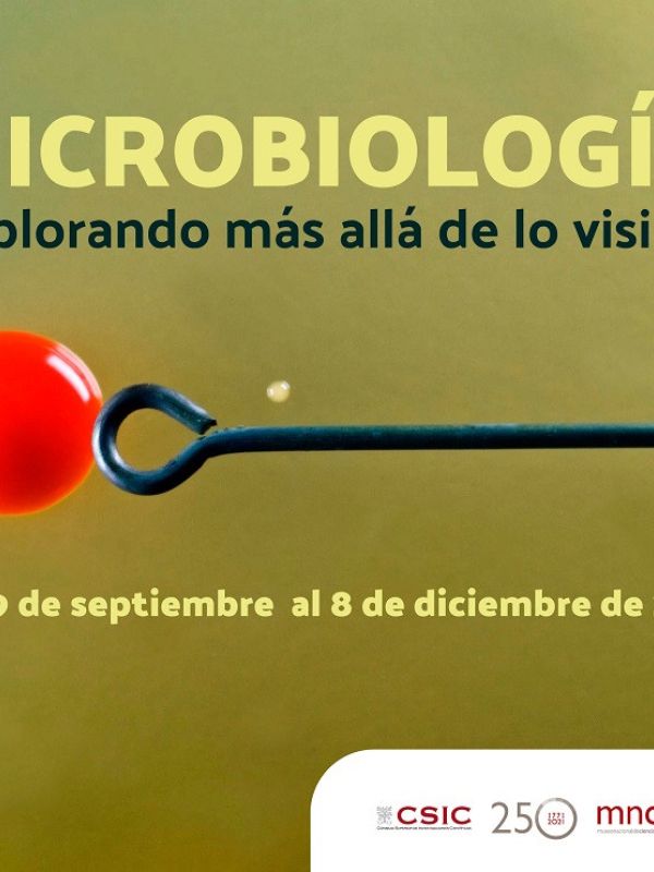 La nueva exposición del Museo Nacional de Ciencias Naturales remarca la importancia de los microorganismos para la vida en nuestro planeta