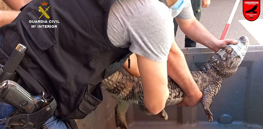 La Guardia Civil interviene la mayor colección privada de animales venenosos y potencialmente peligrosos