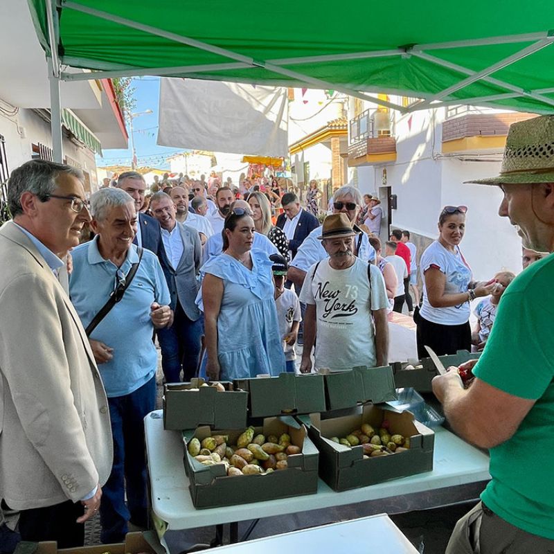 Sabor a Málaga, galardonada en la Fiesta del Ajoblanco por la promoción que realiza de la uva pasa