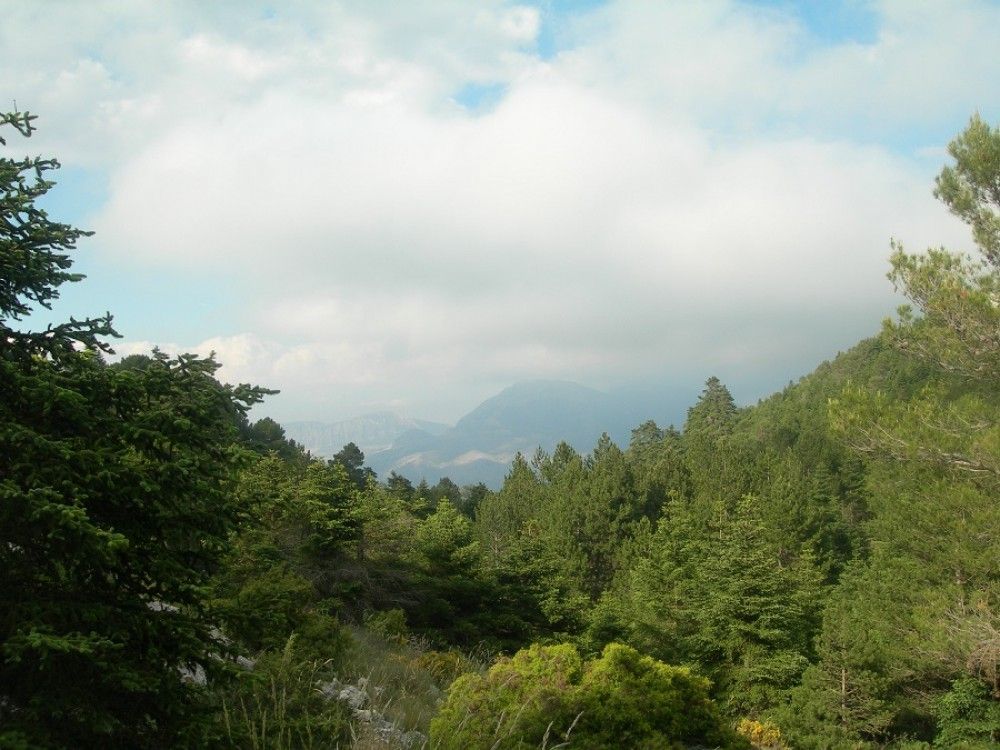 El ministerio abre la consulta pública sobre el anteproyecto de Ley para la declaración del Parque Nacional de la Sierra de las Nieves