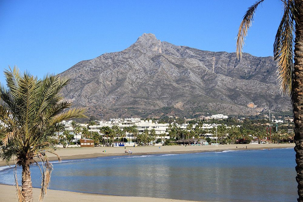 Impulsa Ciudad defiende la creación de "corredores verdes" para garantizar la sostenibilidad ambiental y el valor patrimonial de los entornos urbanos de Marbella