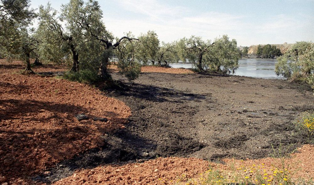 La Junta recurrirá la sentencia que exime a Boliden de pagar el coste de la limpieza del vertido