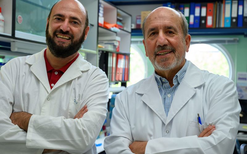 El CSIC transfiere a la OMS sus avances en el desarrollo de la vacuna covid-19 para que llegue a países en desarrollo