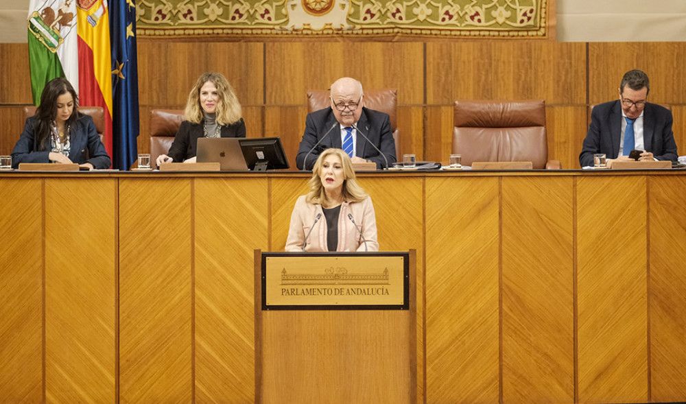 La Ley del nuevo Plan Estadístico y Cartográfico supera el debate de totalidad en el Parlamento
