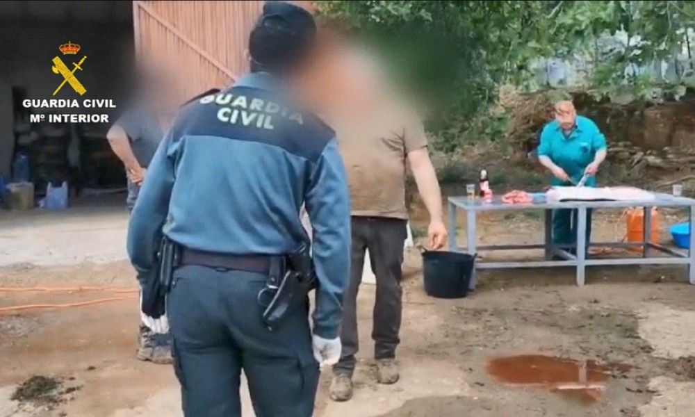 Un grupo de personas, sorprendido realizando la matanza de un cerdo saltándose el estado de alarma y sin medidas sanitarias