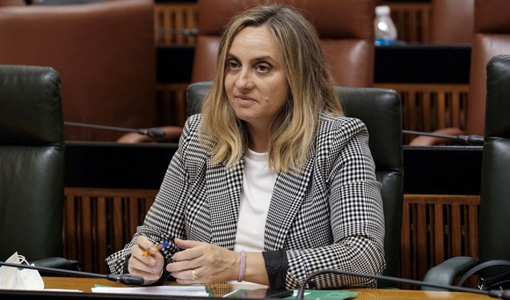 La demanda del autobús metropolitano no supera el 36% y la del interurbano el 15% en hora punta