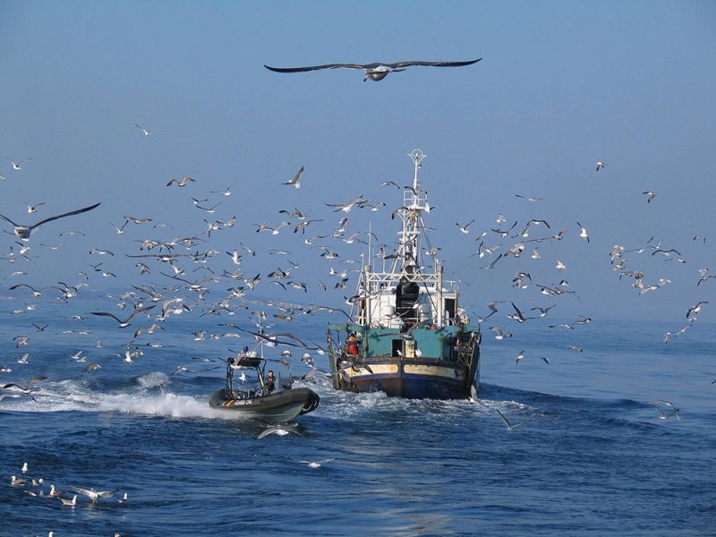 El ministerio agiliza la concesión de ayudas al sector pesquero afectado por la finalización del protocolo de pesca UE-Marruecos