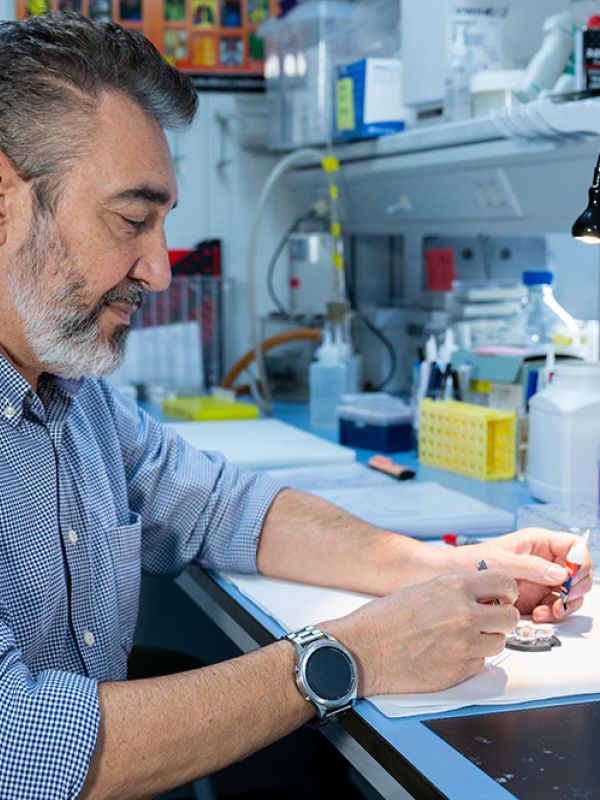 El ejercicio físico mejora la inteligencia de tus descendientes