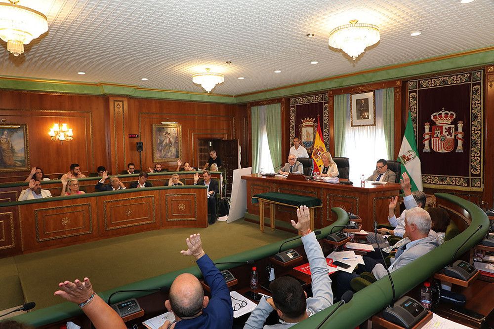 El Pleno aprueba la cesión gratuita a la Junta de Andalucía de una parcela de 8.148 metros cuadrados para la creación de un intercambiador de transportes en la zona este de San Pedro Alcántara