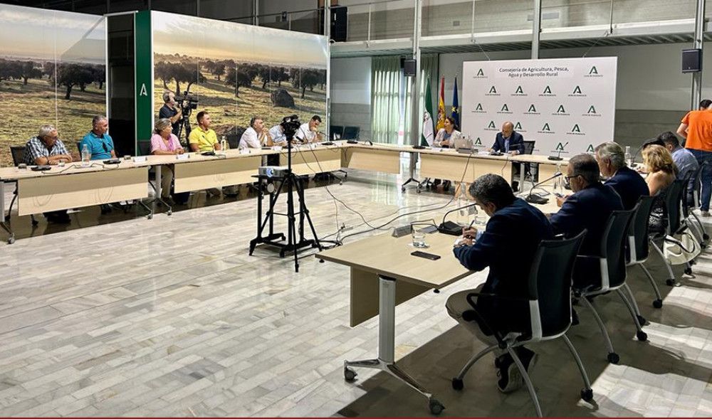 Andalucía ofrece ayudas para los afectados por el fin del acuerdo pesquero con Marruecos