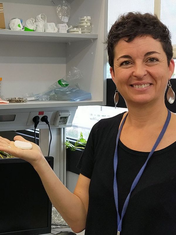 Amparo López: “Nuestro aerogel orgánico puede sustituir a los plásticos en los envases alimentarios”