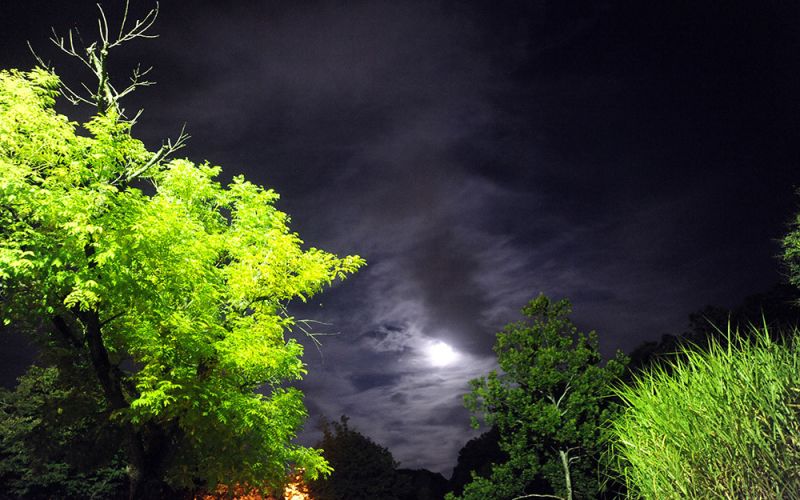 La Luna de la Cosecha de anoche ha sido la última superluna del año