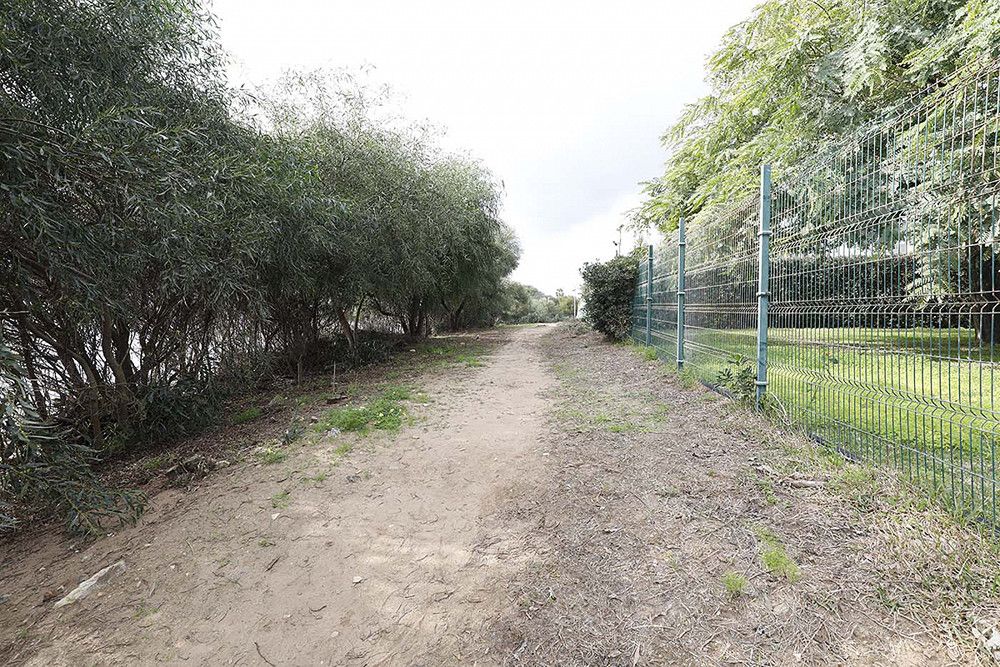 El Ayuntamiento saca a licitación un nuevo tramo de la senda litoral para conectar las avenidas Jardines de las Golondrinas y del Naviero de Las Chapas