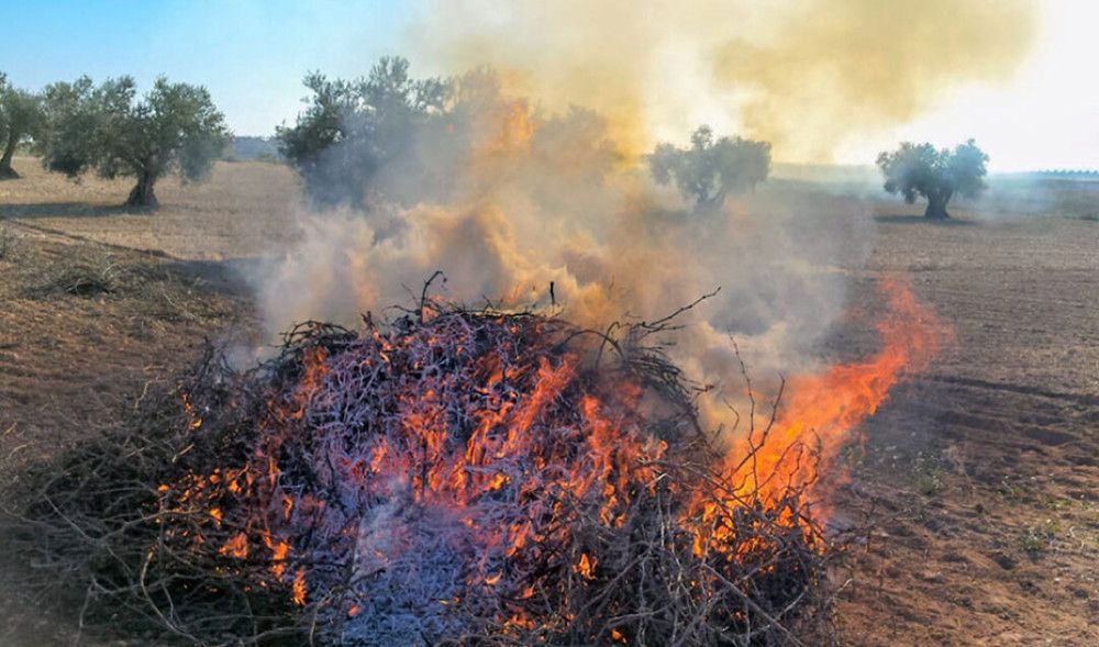 Prolongada la prohibición de quemas agrícolas para prevenir incendios forestales hasta el 15 de octubre